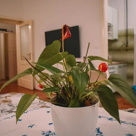 Апартаменты Nina Сараево